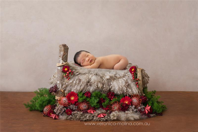 Newborn baby photographer Brisbane - Photo 10