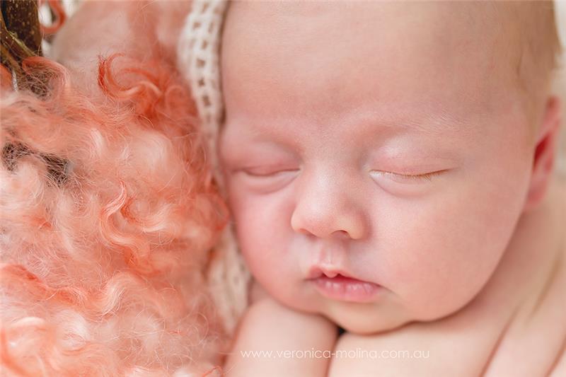 Newborn baby photographer Brisbane - Photo 6