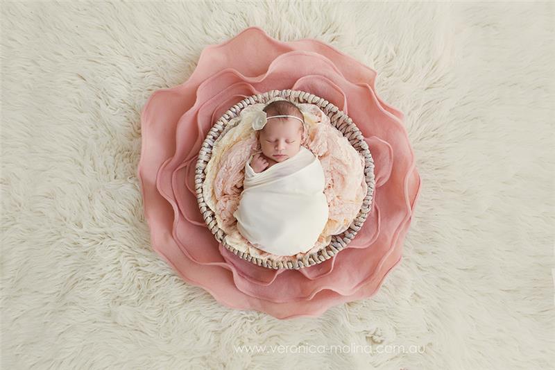 Newborn baby photographer Brisbane - Photo 1