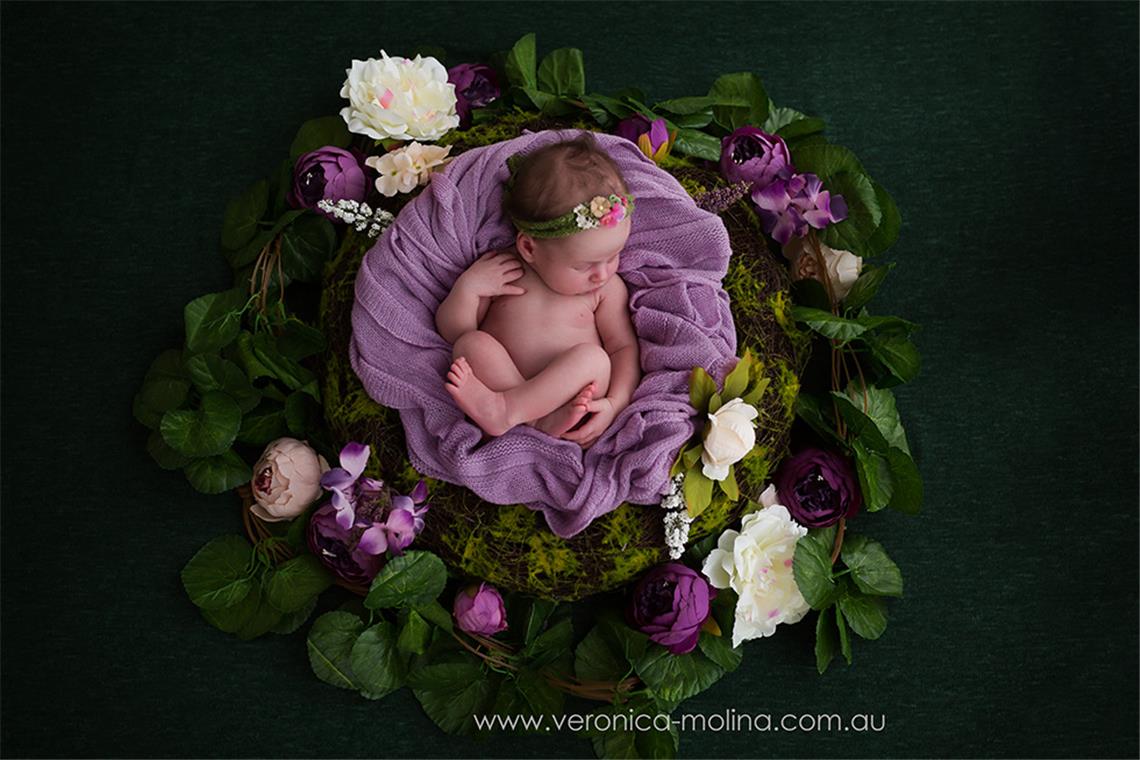 Newborn baby photographer Brisbane - Photo 1