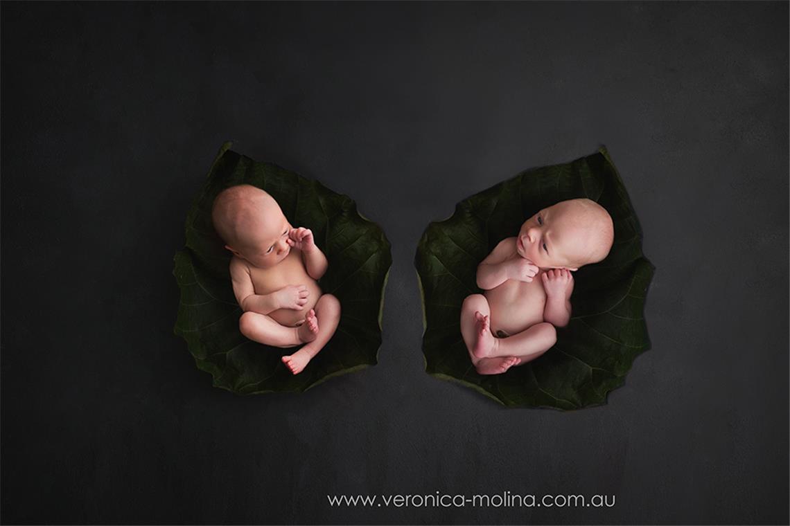 Newborn baby photographer Brisbane - Photo 26