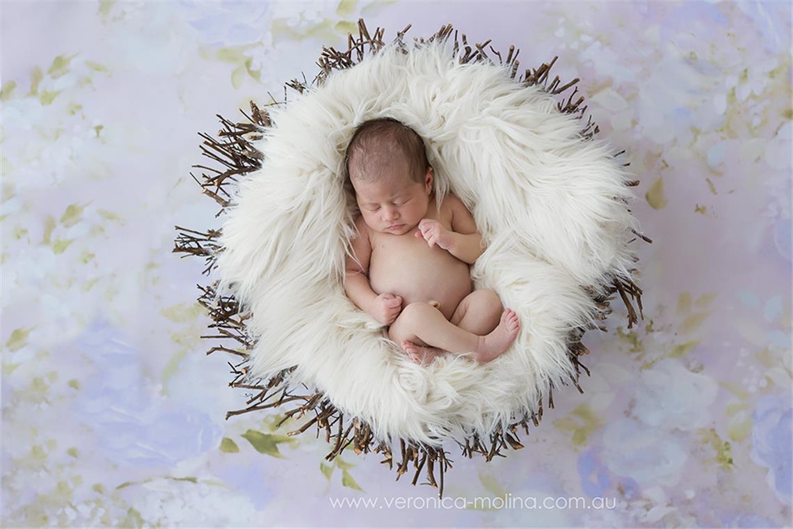 Newborn baby photographer Brisbane - Photo 19