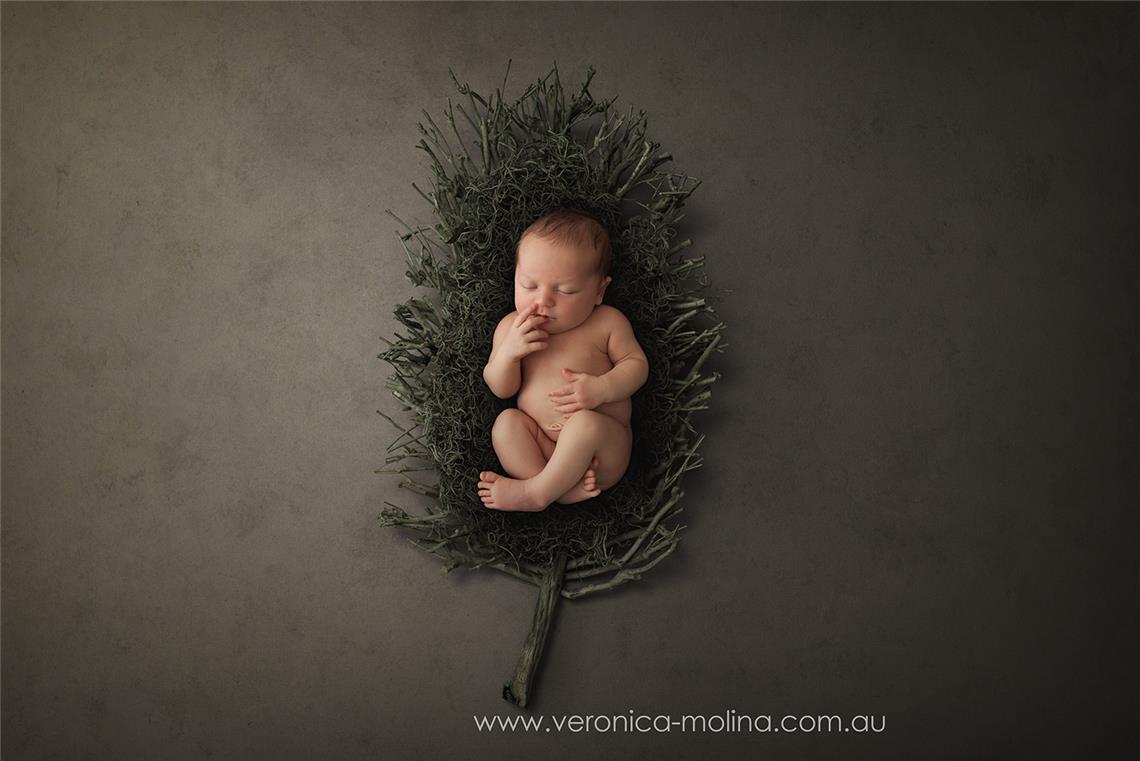 Newborn baby photographer Brisbane - Photo 17