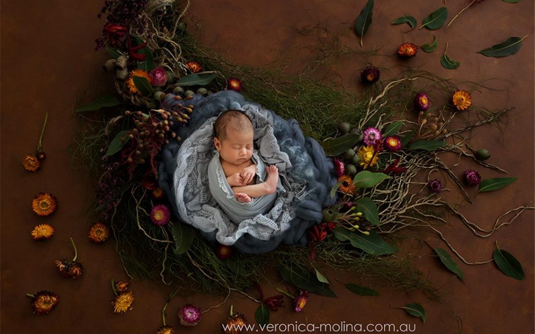 Baby Girl Newborn Photos {Newborn Photographer Brisbane}