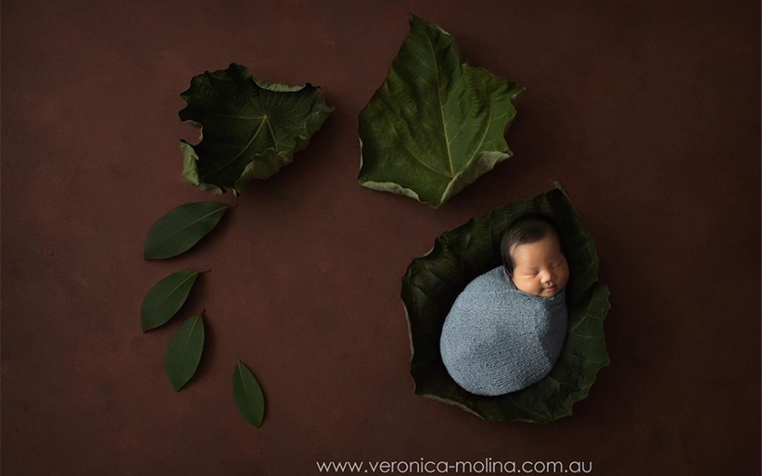 Newborn Baby Boy {Brisbane Baby Photography}