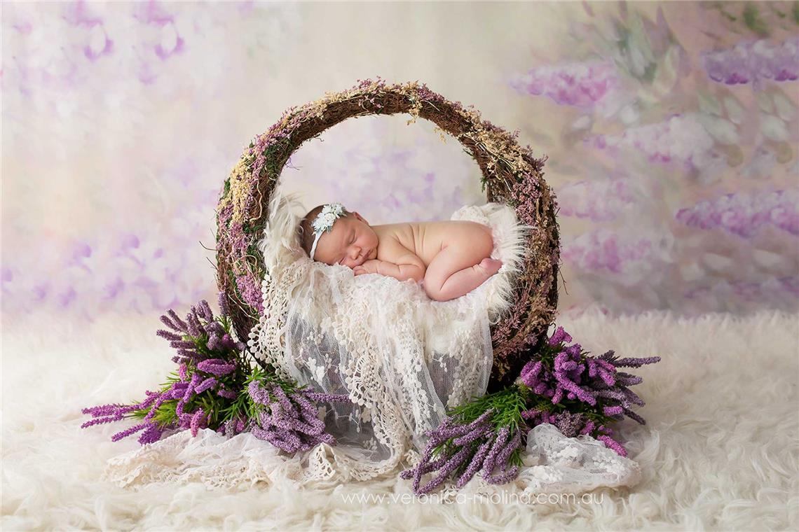 Newborn baby photographer Brisbane - Photo 16