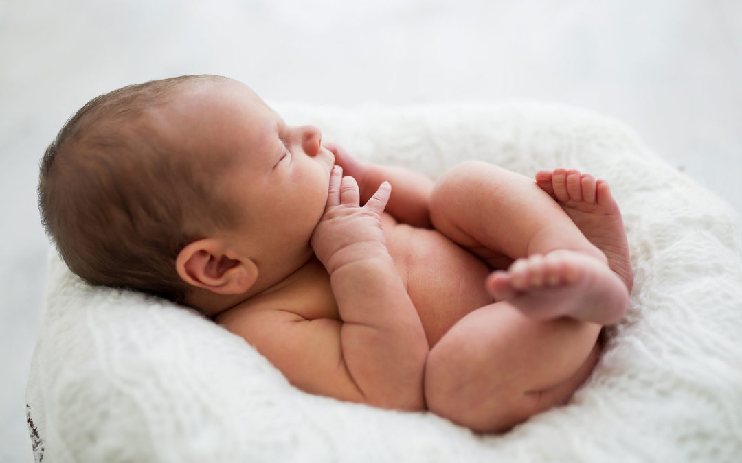 Baby Boy Photo session | Brisbane Newborn Photographer