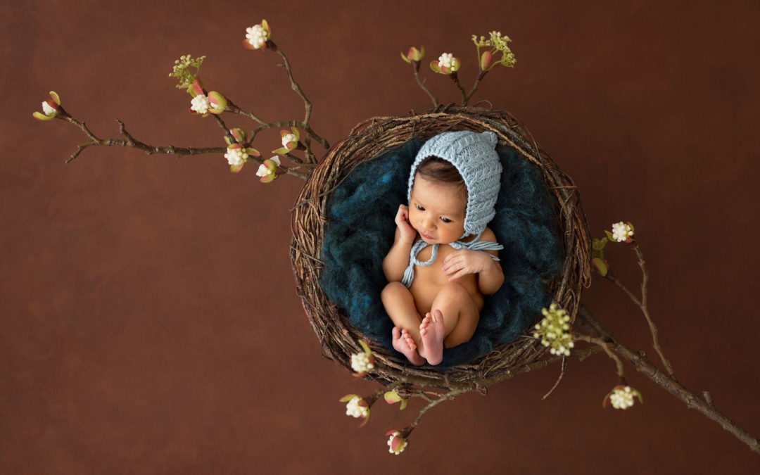 Newborn Photography Brisbane {Baby boy}