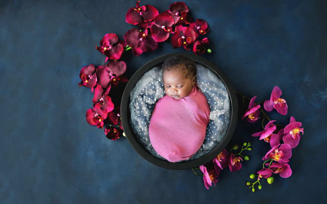 Adorable baby girl- Newborn photography Brisbane